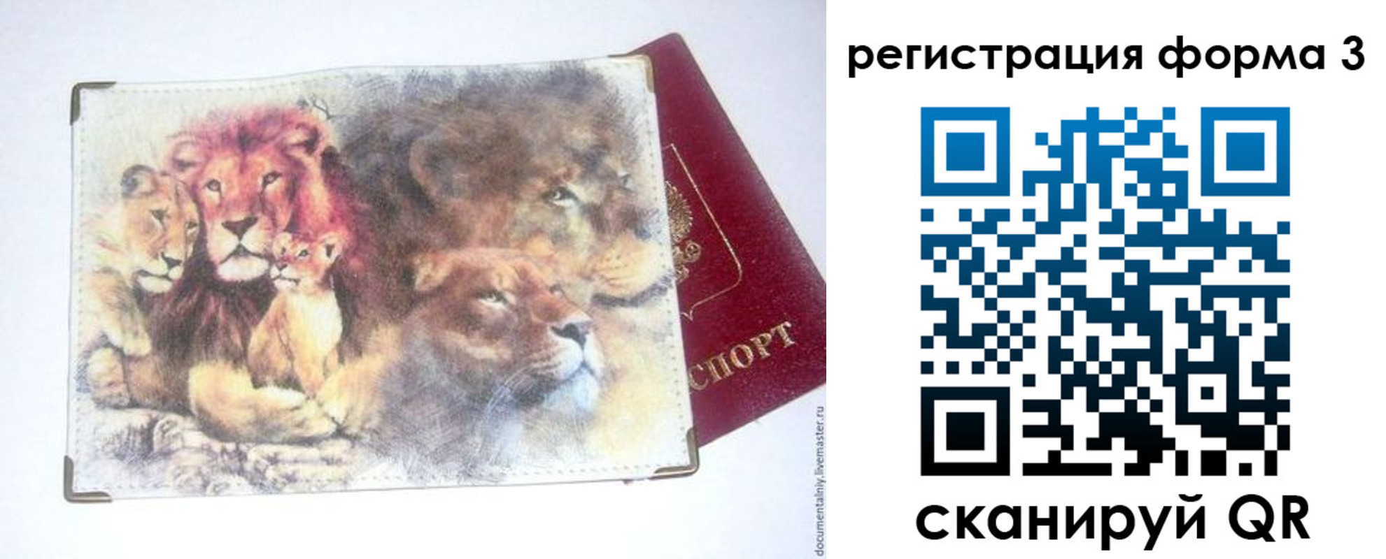 прописка в квартире в Черноголовке